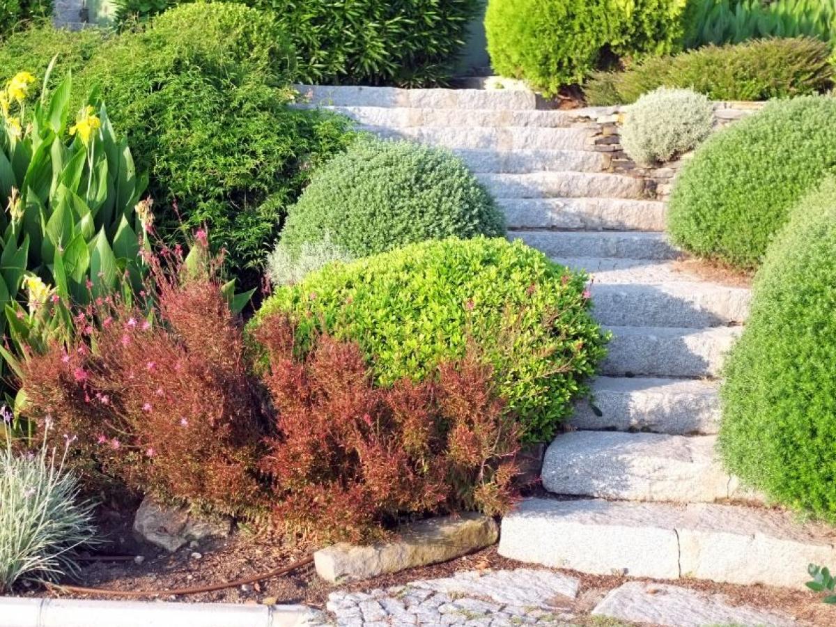 Jardin d'intérieur : 4 conseils pour bien l'aménager - Blog BUT