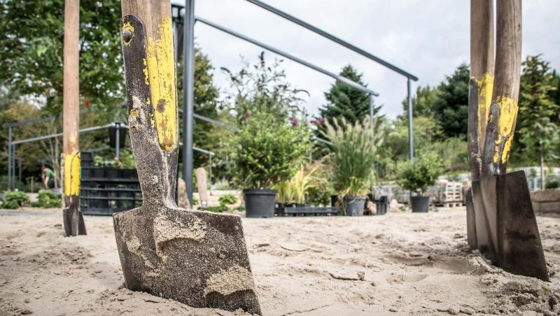 Travaux de plantations dans le jardin