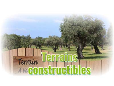 Retrouvez les dernières annonces terrains & maison + terrains